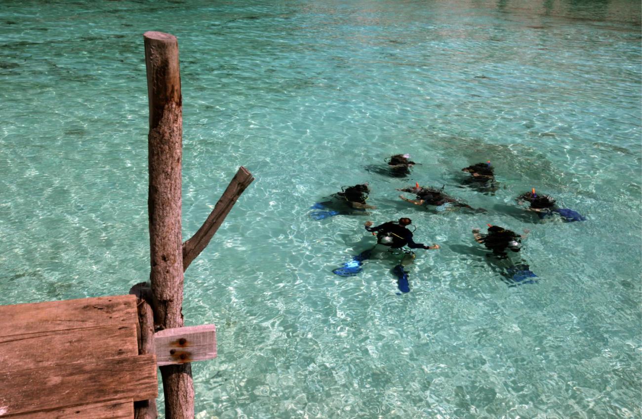 Tauchen in Kolumbien – Karibik trifft Pazifik unter Wasser